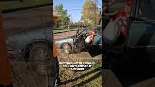We came just in time! FREE yard makeover