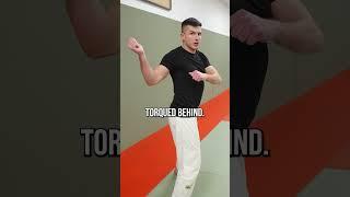 whizzer vs underhook in No Gi Judo