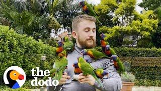 Wild Lorikeet Gets All His Friends To Visit This Guy | The Dodo