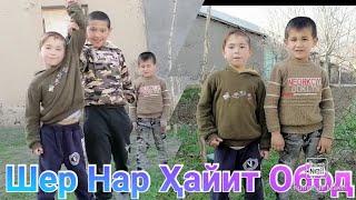 Гуштин 2022 Шер Бачаҳо Деҳаи Суҷина #Даштималла#