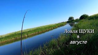 Ловля ЩУКИ в августе. Щука предпочитала блесна и жадно на них бралась.