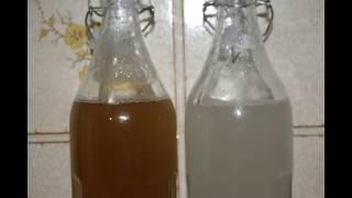 Yeast flocculation and revival.