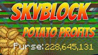 Potato Profits In 1 Hour | Hypixel Skyblock