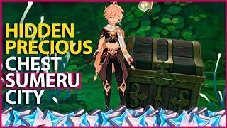 Hidden Precious Chest In Sumeru City Genshin Impact