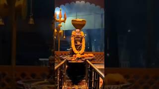 laagi lagan shankara #mahakal #trending #shivratrispecial #viral #mahadev #vlog #tiktok #bhole