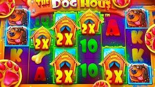 МЕГА-ИГРОВАЯ СЕССИЯ В THE DOG HOUSE MEGAWAYS, ЗАНОС Х500 / ЗАНОСЫ НЕДЕЛИ