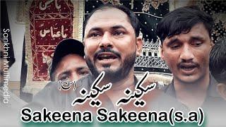 Sakeena Sakeena Aye Meri Ladli । Janab Arif Ravish Sankhnavi । Juloos-e Aza Mustafabad