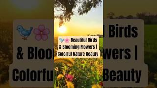  Beautiful Birds & Blooming Flowers | Colorful Nature Beauty by NaturalBeauty349