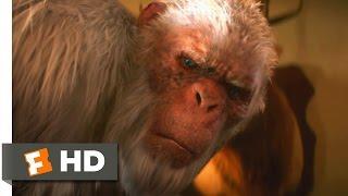 Goosebumps (1/10) Movie CLIP - The Abominable Snowman of Pasadena (2015) HD