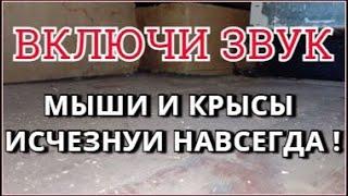 Звук от мышей и крыс Ультразвук от мышей и крыс Избавьтесь навсегда от мышей и крыс