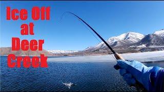 Ice off fly fishing at Deer Creek reservoir