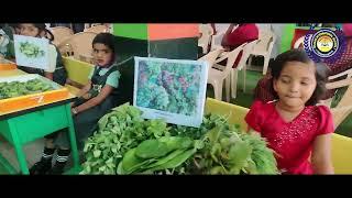 Market Day 2022 @ SHALINI INTERNATIONAL SCHOOL, CHANNARAYAPATNA | 4K |