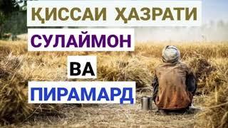 Қиссаи ҳазрати Сулаймон(а) ва пирамард