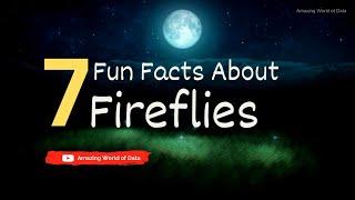 7 Fun Facts About Fireflies