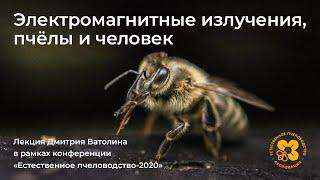 Электромагнитные излучения, пчёлы и человек. Введение в тему.