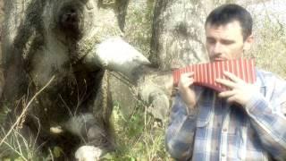 Сказки Одинокой Флейты. Сказка 20. ВОКАЛИЗ. Най. Lonely Flute. Vocalise. Nai