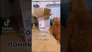 Когда понемаешь что спорт не твой конёк