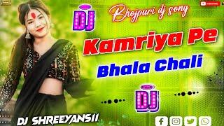 Kamriya Pe Bhala Chali_-_New Bhojpuri Weeding_-_New Trending Song 2024_-_Dj Shreeyans11