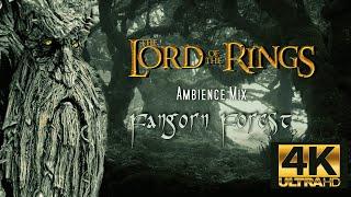 The Fangorn Forest - LORD OF THE RINGS - Ambience