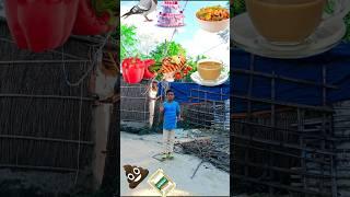 Tatti vfx Magical & Machhi shimla mirch chai cake Vs kabutar Shekhar || #shortsfeed