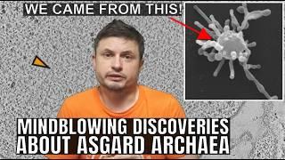 Mind-blowing Discoveries About Asgard Archaea, Ancestors of Complex Life
