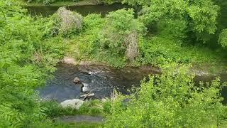 Ландшафтный парк Зуевский. Харцызск. Май 2023года. Nature of Donbass. Khartsyzsk. May 2023.