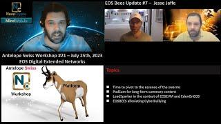 EOS Bees Update 7 - Jesse Jaffe