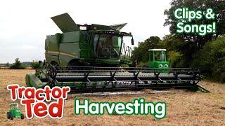 The GIGANTIC Combine Harvester & Other Harvesting Machines  Tractor Ted Clips & Songs