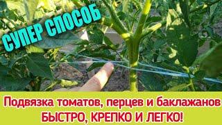 Как быстро подвязать томаты, перцы и баклажаны.#дача#огород#сад#самсебеагроном#садиогород#лайфхак