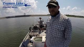 Choosing the right sized bait for hybrids on Truman Lake