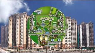 Amrapali Silicon City At Reasonable Prices