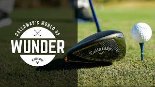 Is The Rogue ST Max D A Better Players Driver?  | World of Wunder