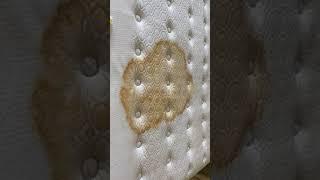 Remove Mattress stains with Baking Soda NOW!!!!!