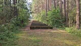 The mystery of the death at Treblinka of the sister of Sigmund Freud.