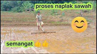 tutorial naplak sawah. #pertanian #petanimuda