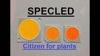 COB Citizen CLU03H-25/55-PW & PRB. Светодиоды для растений, LED Citizen. Фитосветодиод