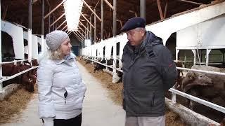 Работы откормочной площадки в Алтынсарино-26.10.17