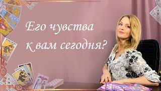 Его чувства к вам сегодня? Анастасия Шучалина