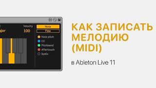 Как записать мелодию MIDI в Ableton Live 11 [Ableton Pro Help]