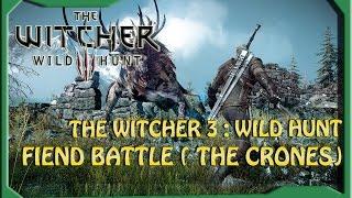 The Witcher 3 : Wild Hunt - Geralt Fiend Battle ( The Crones) - PC