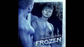 FROZEN - Timur Khalikov (Cover version)