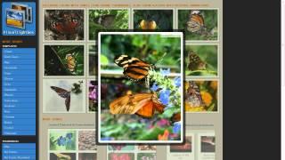 Photo Gallery With Lightbox - Create delightful lightbox2 galleries in seconds!