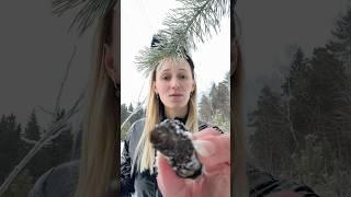 Асмр сделаю тебе классный макияж #asmr #relax #асмp #tingles