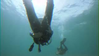 Mosasaurus Dive (Jurassic Park VHS Analog Horror) #jurassicpark #analoghorror