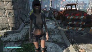 fo4, Fallout 4, mod , dlc, captainoob companion, cbbe,