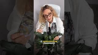 Как не платить налоги на $80,000? Хотите научу? #налогивсша #жизньвсша