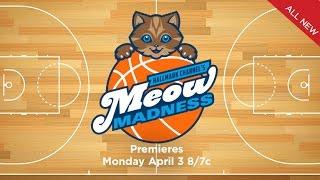 Meow Madness Virtual Reality Preview - Hallmark Channel