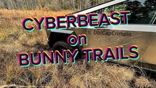 Tesla Cybertruck CYBERBEAST gets STUCK Off Roading