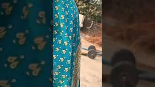 Amar Biral Pakhi Dhore Kheye Nilo go #shorts  #bolpur