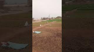 village oman farming  #salalah